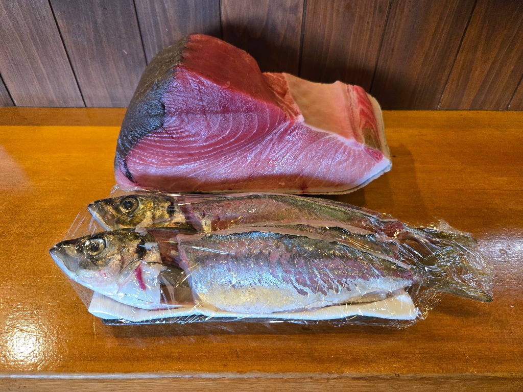 本日入荷の魚たちです。