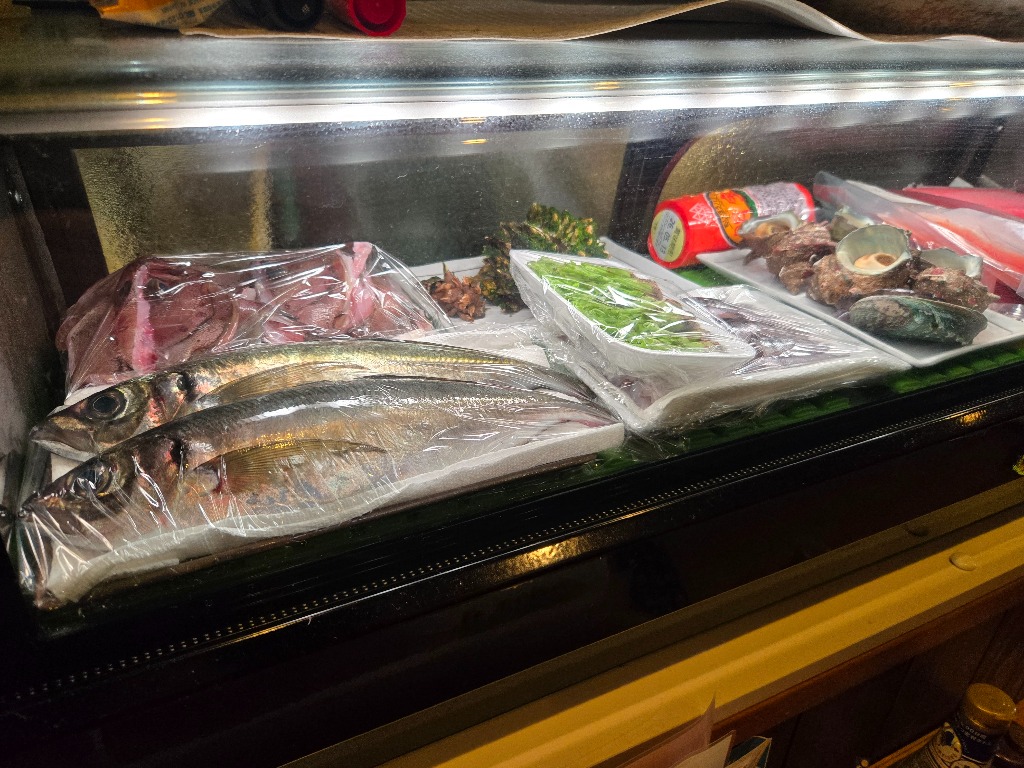 本日入荷の魚たちです。